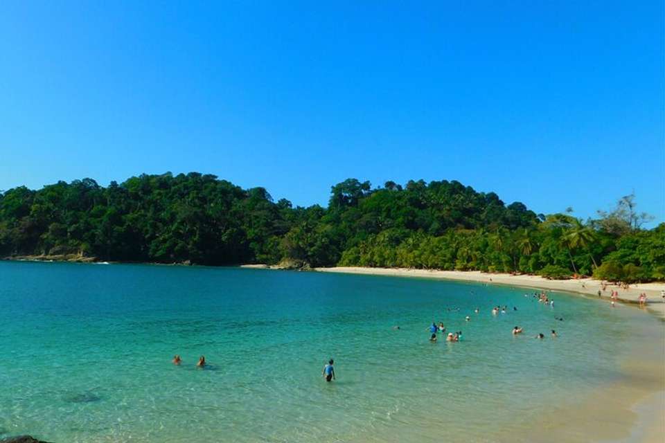 Manuel Antonio National Park Full Day Tour From San Jose - Destination Services - Costa Rica - Image 12