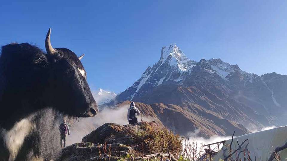 Mardi Himal Trek - Travel Max Guide - Nepal - Image 4