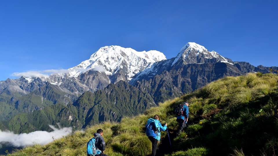 Mardi Himal Trek - Mount Glory Treks And Expedition Pvt. Ltd. - Nepal - Image 3