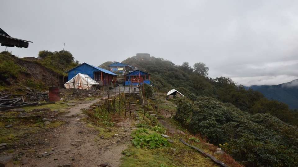 Mardi Himal Trek - Mount Glory Treks And Expedition Pvt. Ltd. - Nepal - Image 6