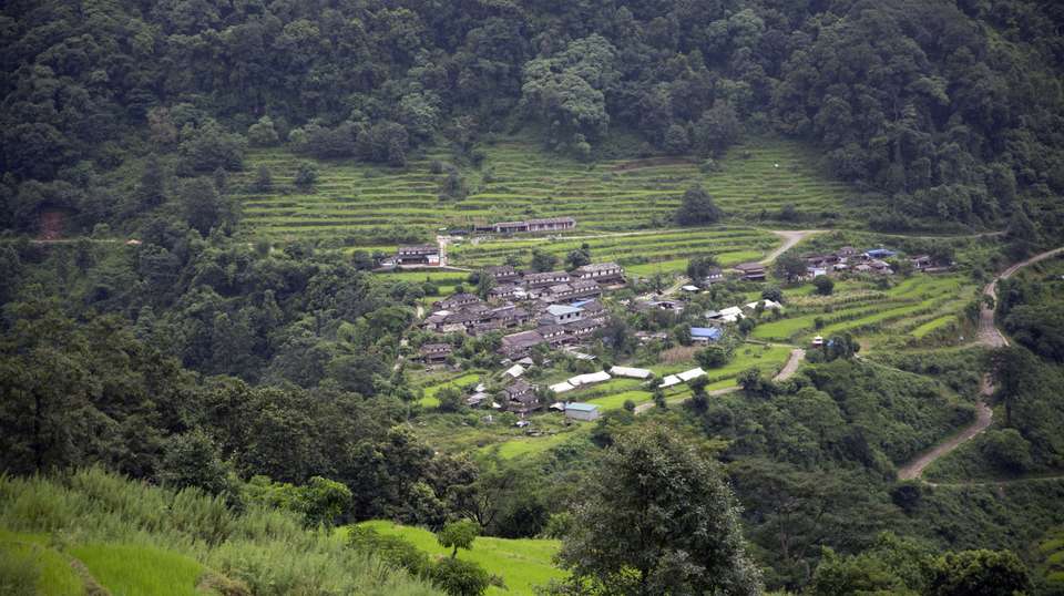Mardi Himal Trek - Travel Max Guide - Nepal - Image 5