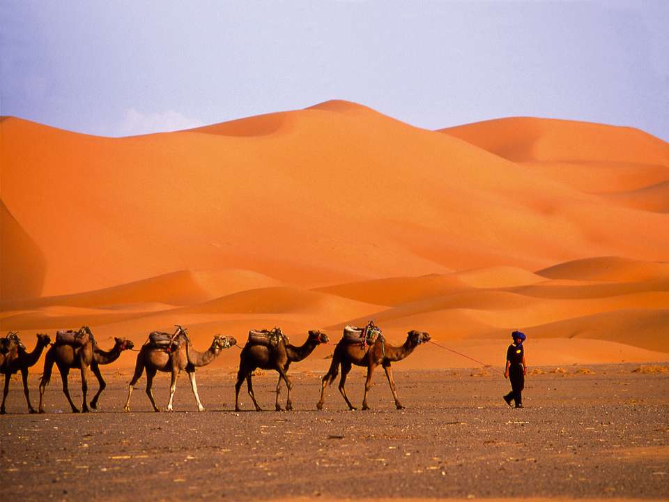 Marrakech, Agafay & Coast - 5 days - On The Go Tours - Morocco - Image 3