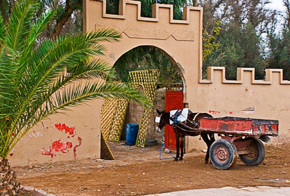 Marrakech, Agafay & Coast - 5 days - On The Go Tours - Morocco - Image 5