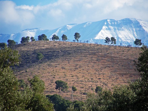 Image 5 of 7
