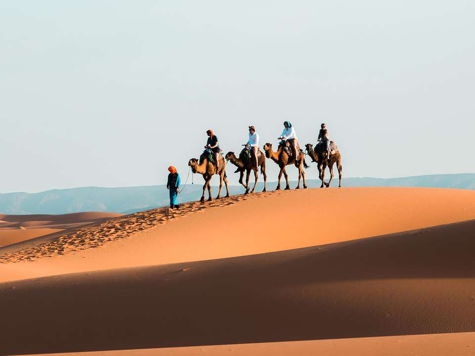 Marrakech & Mountains Week - 7 days - On The Go Tours - Morocco - Image 6