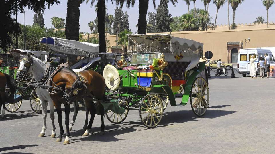 Marrakech & Zagora Tour - undefined - Image 2