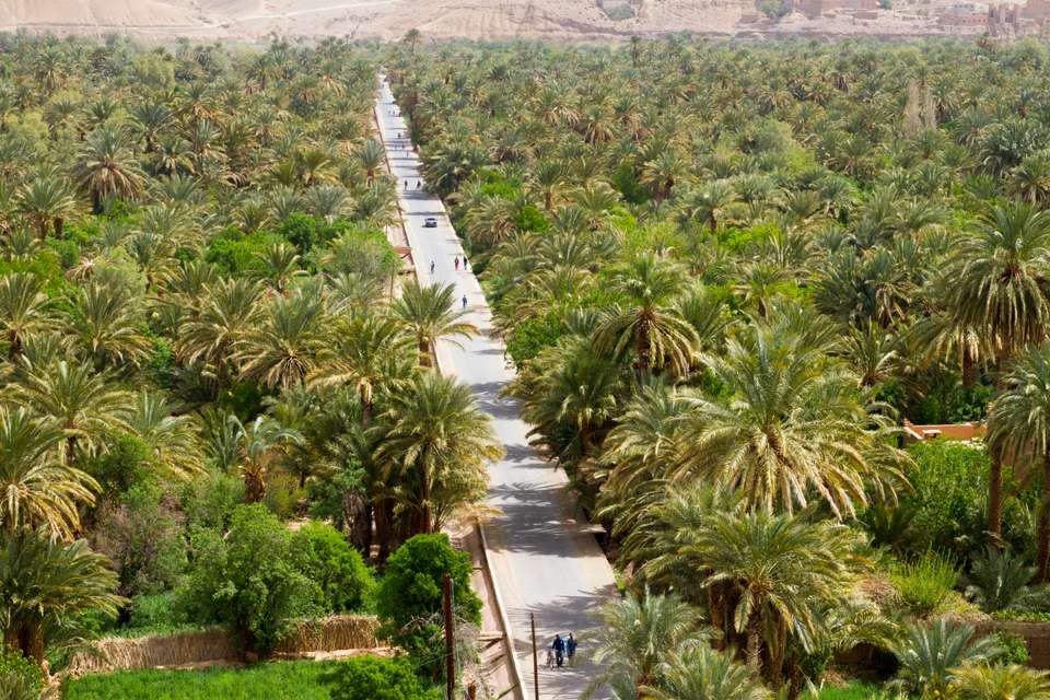 Discover Marrakech & the Sahara - Exodus Adventure Travels - Morocco