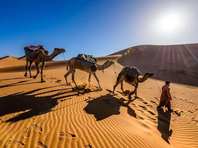 Marrakech City & Desert Adventure 5D/4N - 5 days