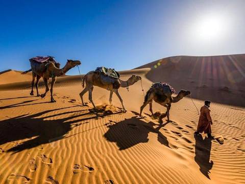 Adventure And Sport Tour: Marrakech City & Desert Adventure 5d/4n