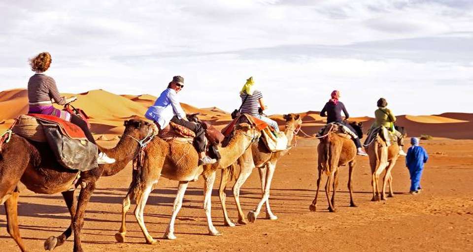 Marrakech Express - 5 days - undefined - Image 2