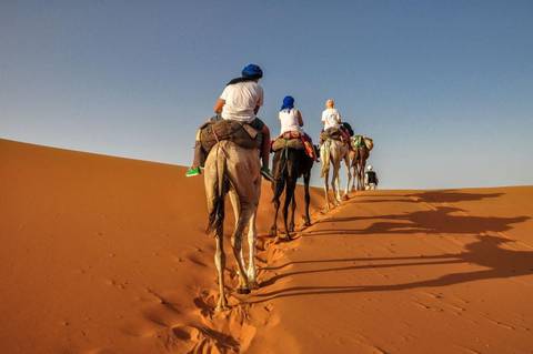 Marrakech To Marrakech (9 Days) Souks & Sand Dunes - 9 Days