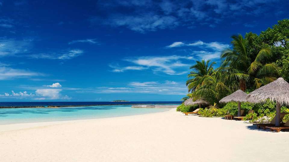 Marvelous Maldives - Indus Travels - Maldives - Image 7