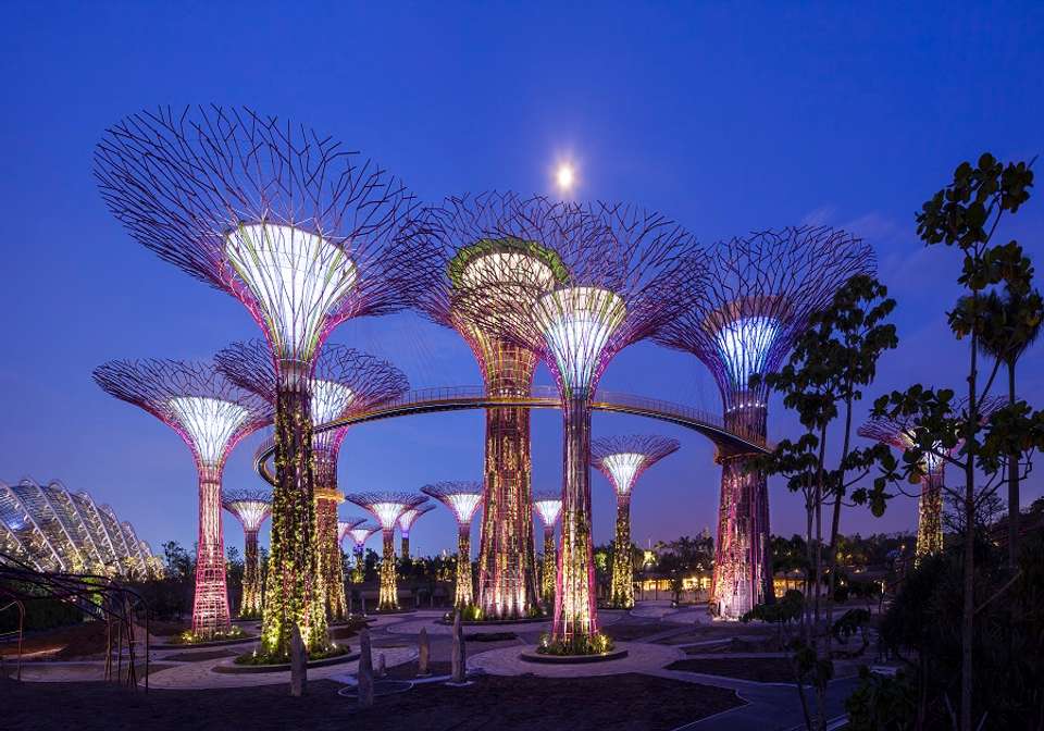 Marvelous Singapore and Malaysia - Indus Travels - Singapore - Image 8