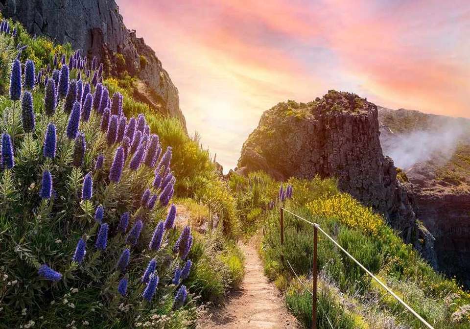 Marvels of Lisbon and Madeira Island - Indus Travels - Portugal - Image 11