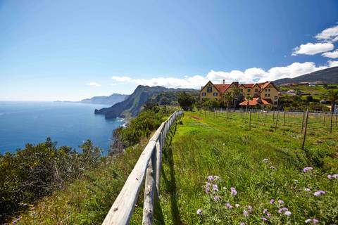 Marvels Of Madeira Walk