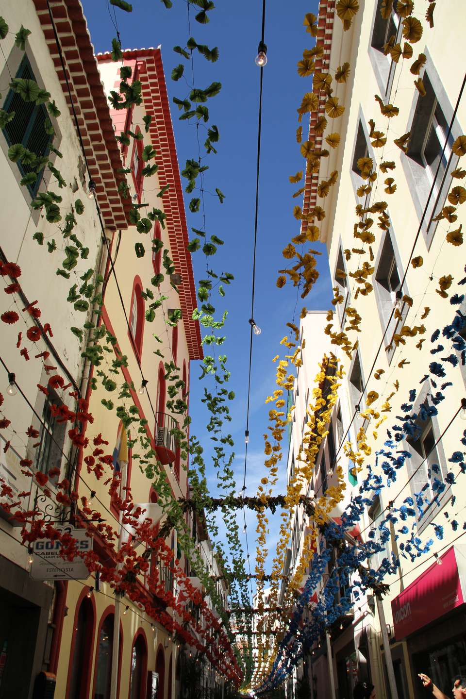 Marvels of Madeira Walk - Exodus Adventure Travels - Portugal - Image 9