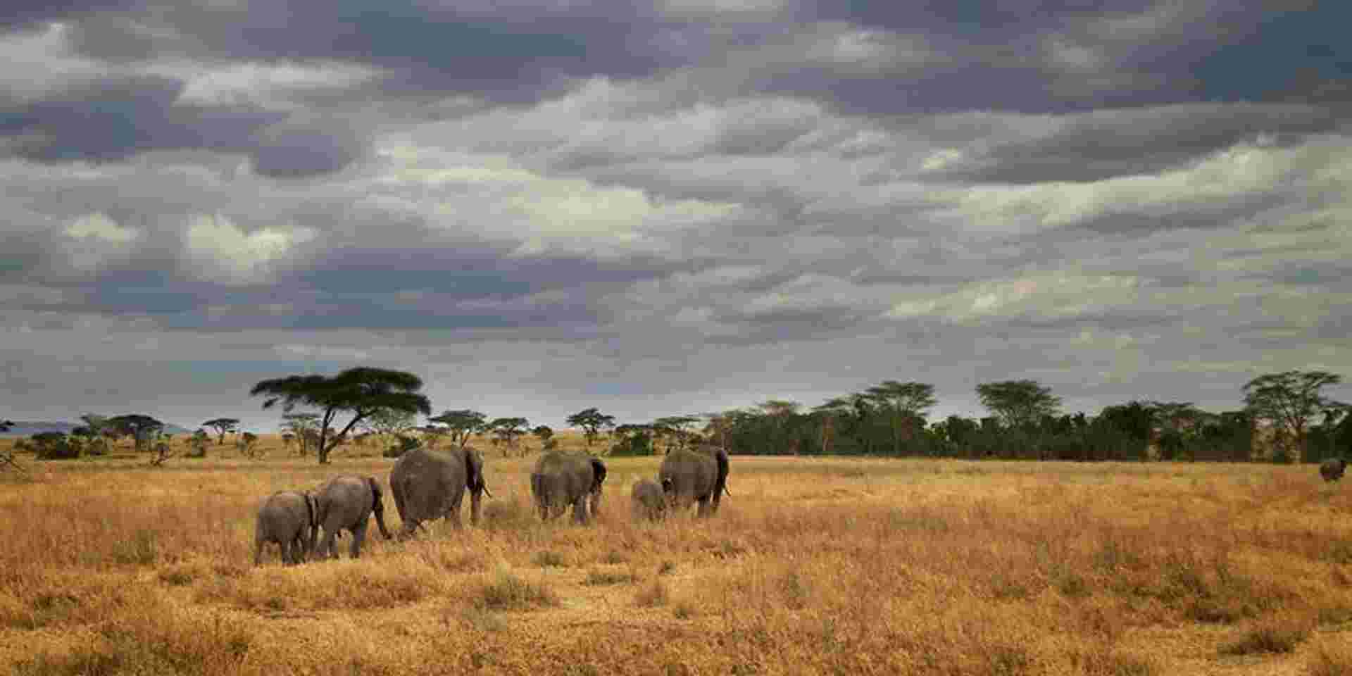 Masai & Tanzania Camping Safari