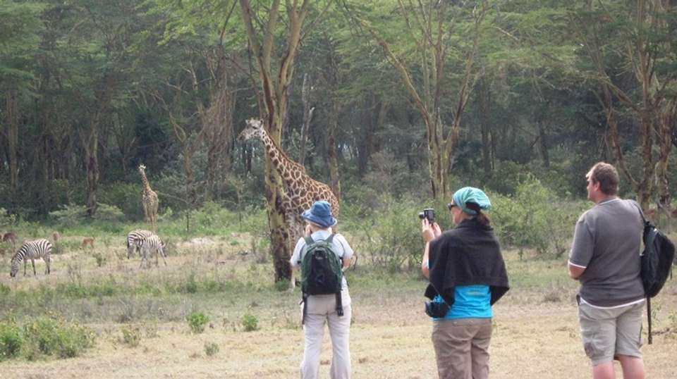 Masai Mara, Lake Naivasha and Amboseli Adventure - Kikwetu Cultural Adventures - Kenya - Image 2