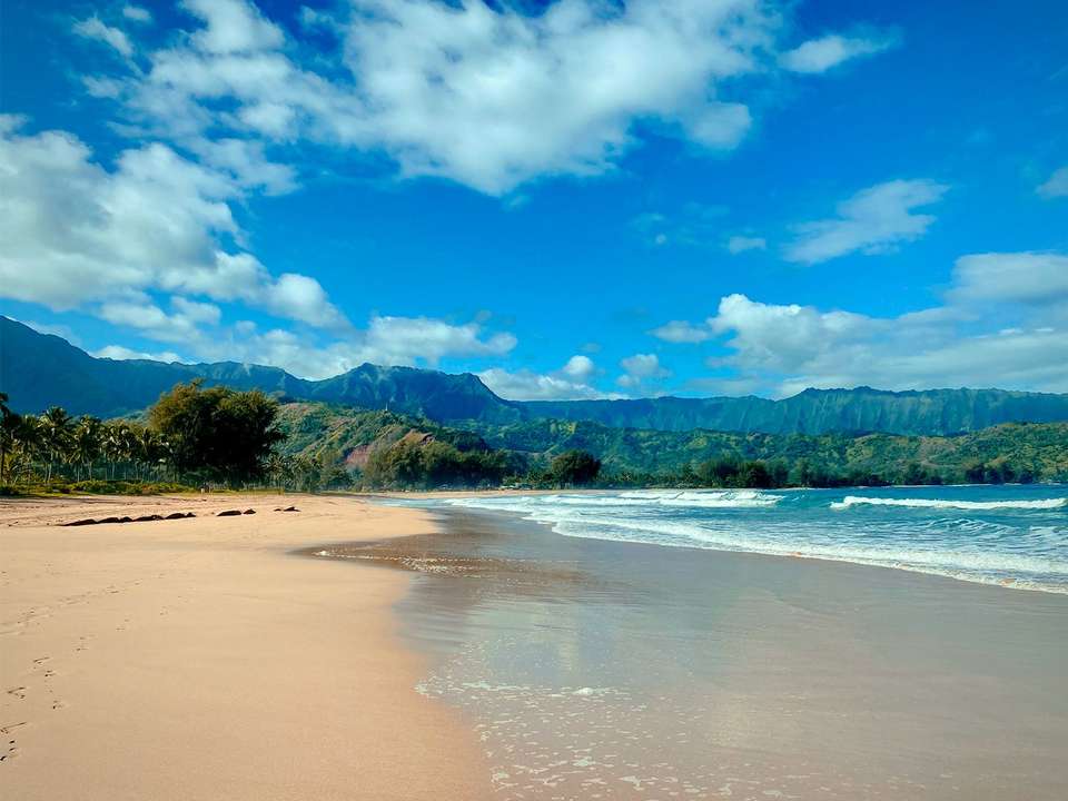 Maui, Hilo, Kauai & Oahu - 11 days - On The Go Tours - USA - Image 5