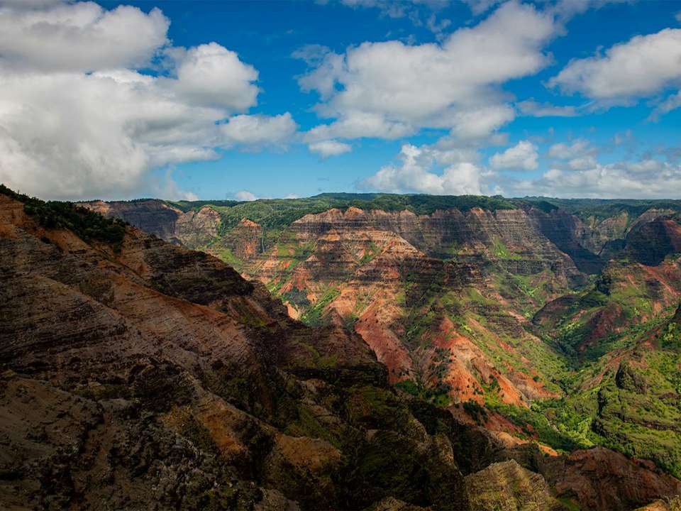 Maui, Hilo, Kauai & Oahu - 11 days - On The Go Tours - USA - Image 7