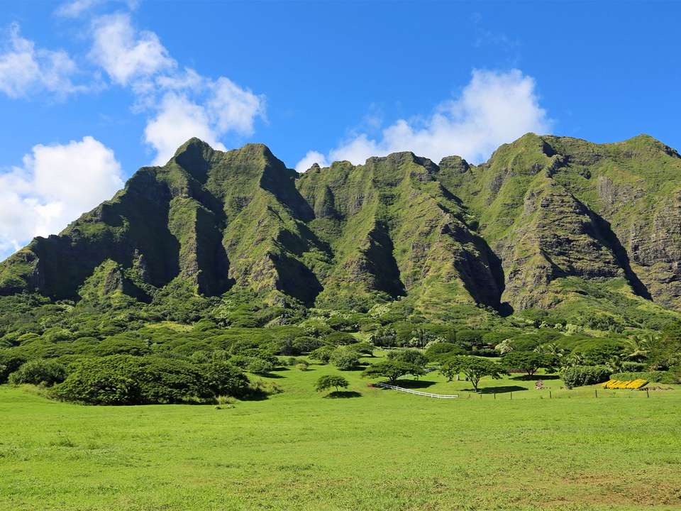Maui, Hilo, Kauai & Oahu - 11 days - On The Go Tours - USA - Image 11
