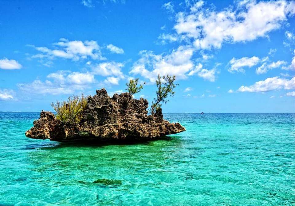 Mauritius All Inclusive - Indus Travels - Mauritius - Image 3
