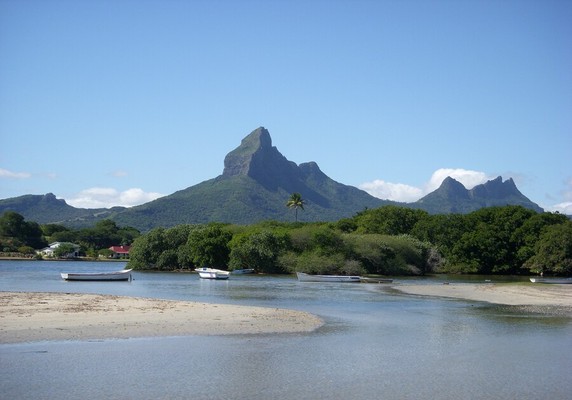 Image 5 of 6