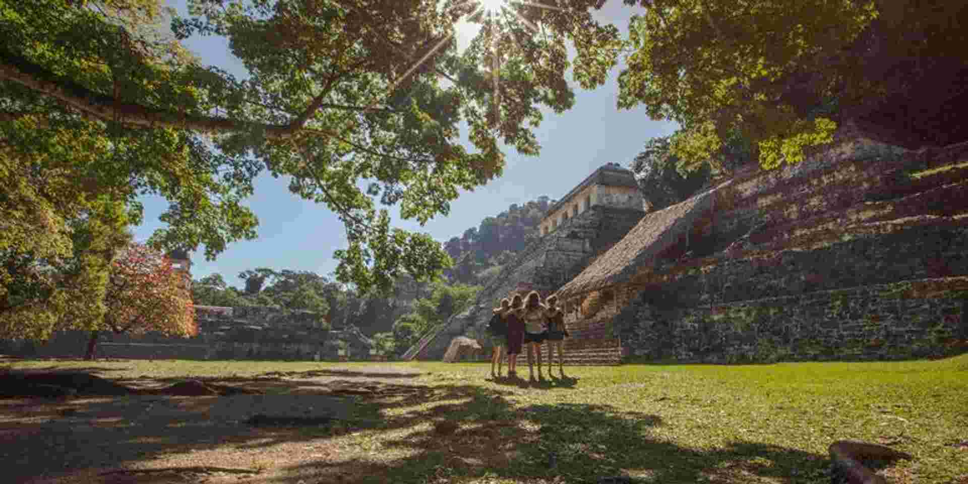 Mayan Discovery