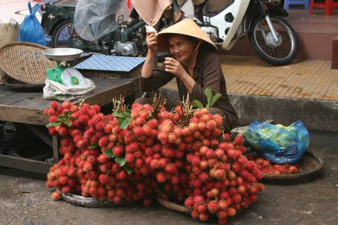 Vietnam Small Group Tours: Meandering The Mekong Delta