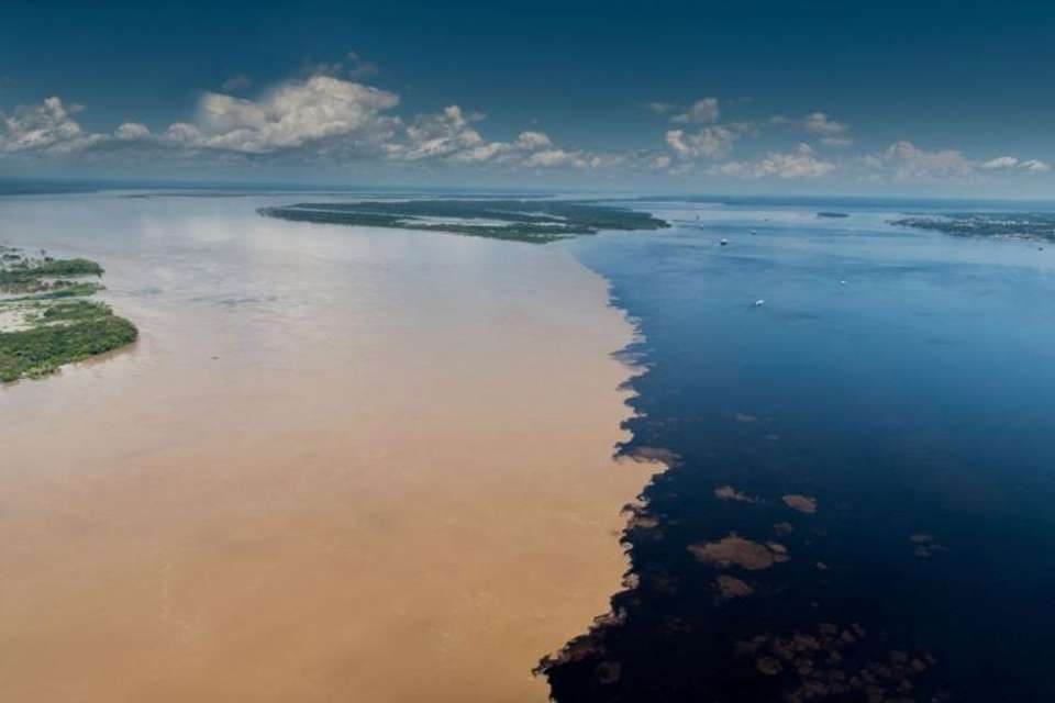 Meeting of the Waters and Pink Dolphin Tour - Tangol Tours - Brazil - Image 1