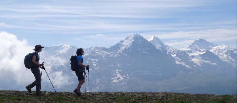 Switzerland Sightseeing Tour: Meiringen: Panoramas of the Swiss Alps - 8 Days