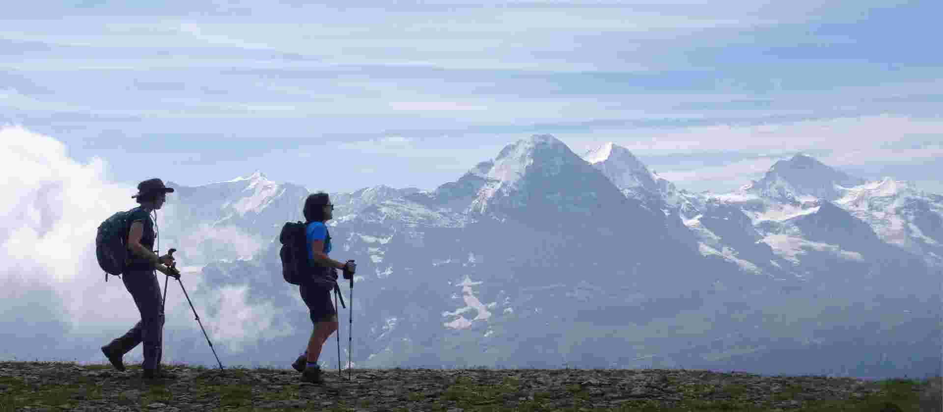 Meiringen: Panoramas of the Swiss Alps - 8 Days