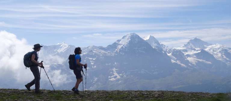 Meiringen: Panoramas of the Swiss Alps - 8 Days