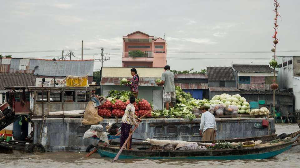 MEKONG DELTA MY THO & BEN TRE FROM SAI GON PORT - undefined - Image 4