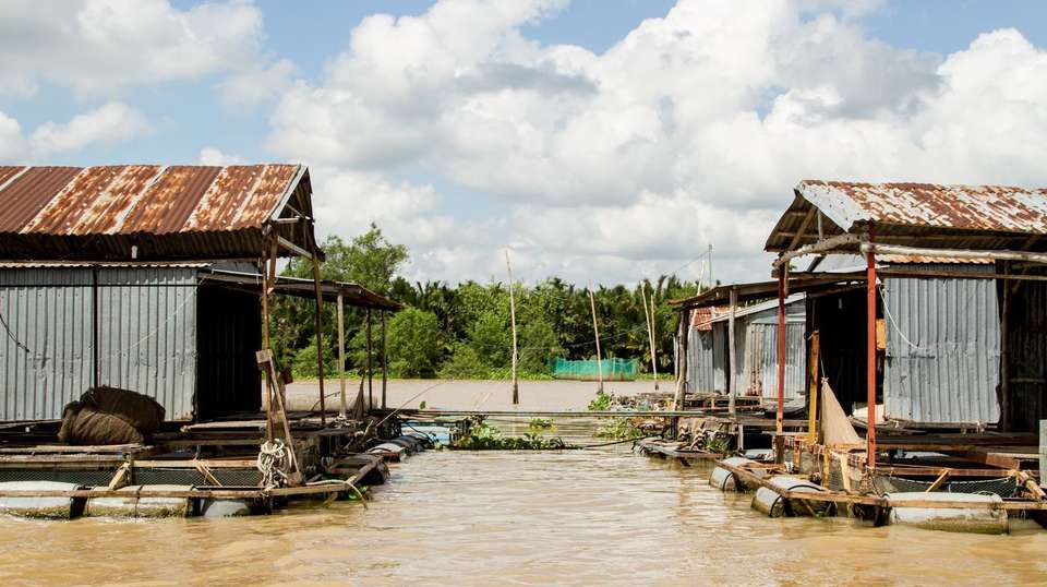 MEKONG DELTA MY THO & BEN TRE FROM SAI GON PORT - undefined - Image 5
