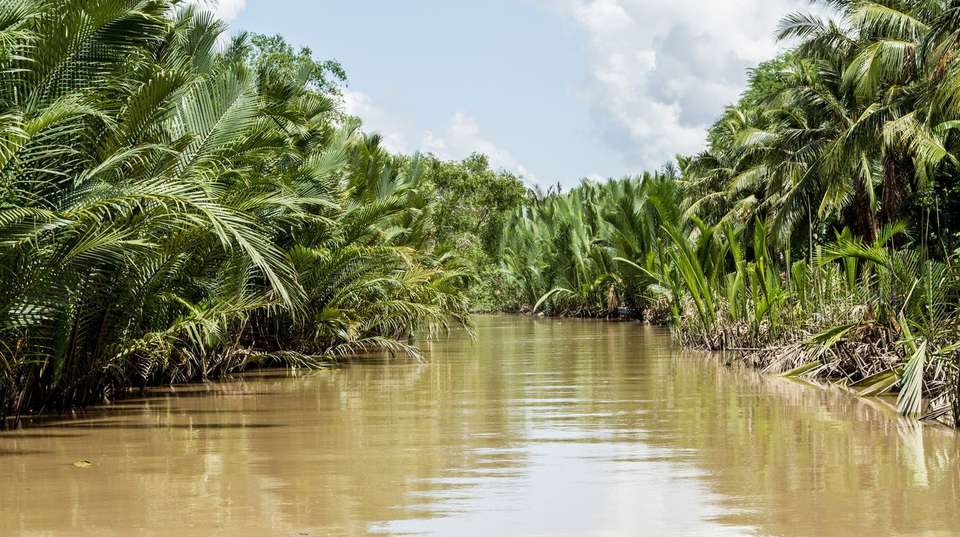 MEKONG DELTA MY THO & BEN TRE COCONUT VILLAGE FROM HCMC - undefined - Image 1