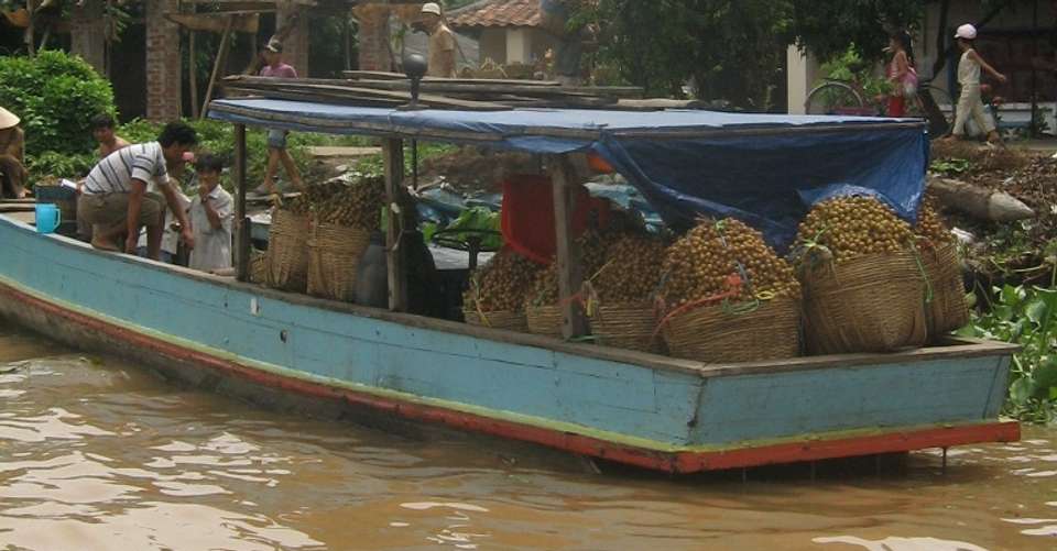 Mekong Detla at Cai Be Floating Market full day tour - Roadstour Vietnam - Vietnam - Image 3
