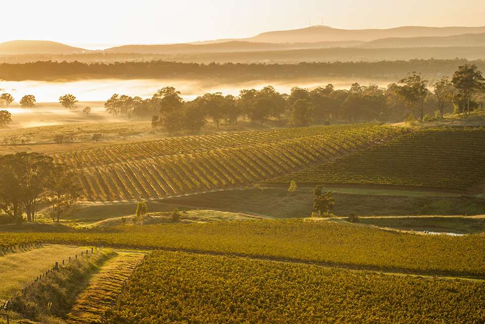 Melbourne to Brisbane Adventure - Intrepid Travel - Australia - Image 5