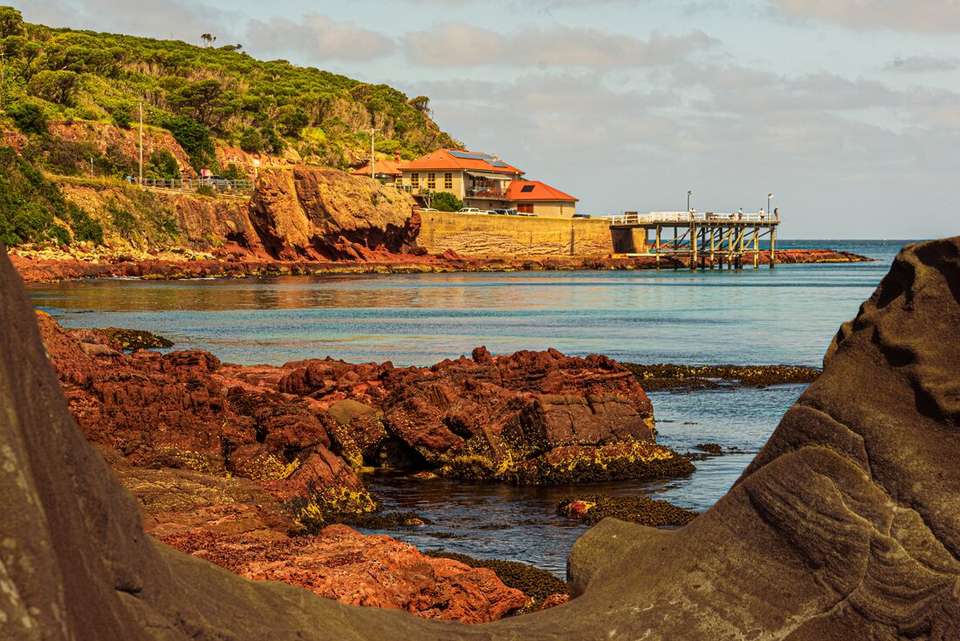 Melbourne to Sydney Adventure - Intrepid Travel - Australia - Image 8