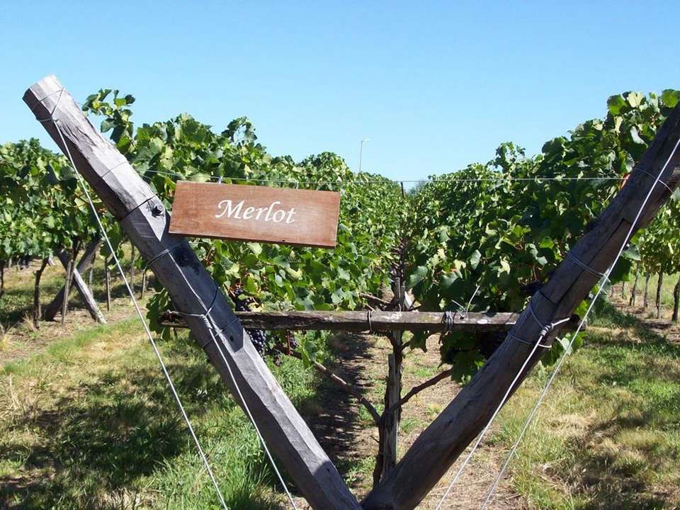 Mendoza Wine & Mountains Adventure 4D/3N - Bamba - Argentina