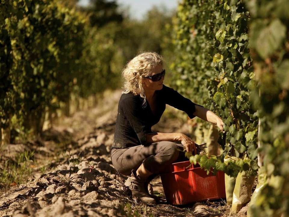 Mendoza Wine & Mountains Adventure 4D/3N - Bamba - Argentina