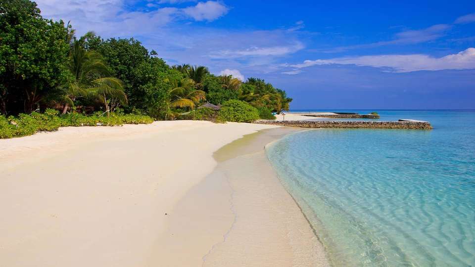 Mesmerizing Maldives - Indus Travels - Maldives - Image 6