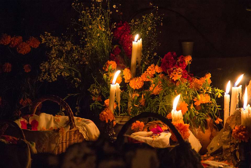 Mexico City: Day of the Dead Comfort - Intrepid Travel - Mexico - Image 8