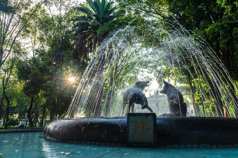 Mexico City Short Break - Intrepid Travel - Mexico