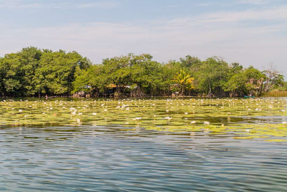 Mexico City to Guatemala - Intrepid Travel - Mexico - Image 8