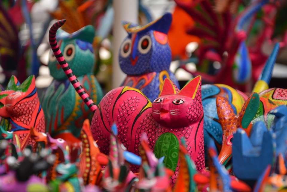 Mexico City to Oaxaca - Intrepid Travel - Mexico - Image 7