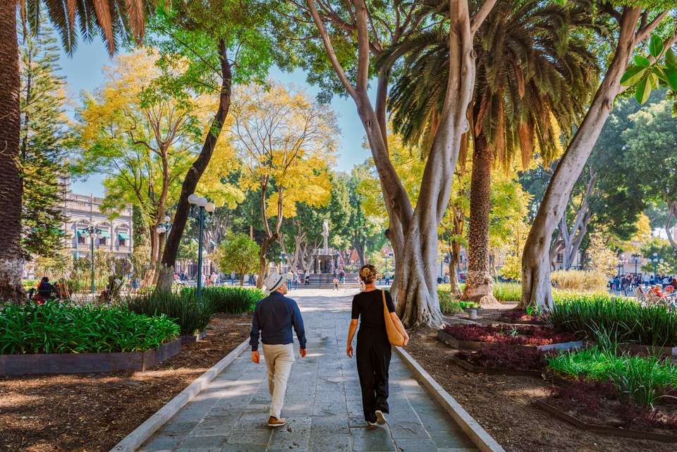 Mexico City to Oaxaca - Intrepid Travel - Mexico - Image 9