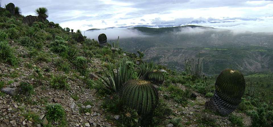 Mexico City To Riviera Maya: An Odyssey Through Mexican Wonders (15 Days) - undefined - Image 15