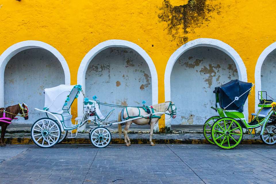Mexico Family Holiday - Intrepid Travel - Mexico - Image 8