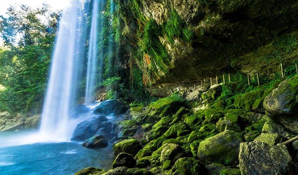 Mexico Highlights (from Mexico City) Travel Pass - Bamba - Mexico